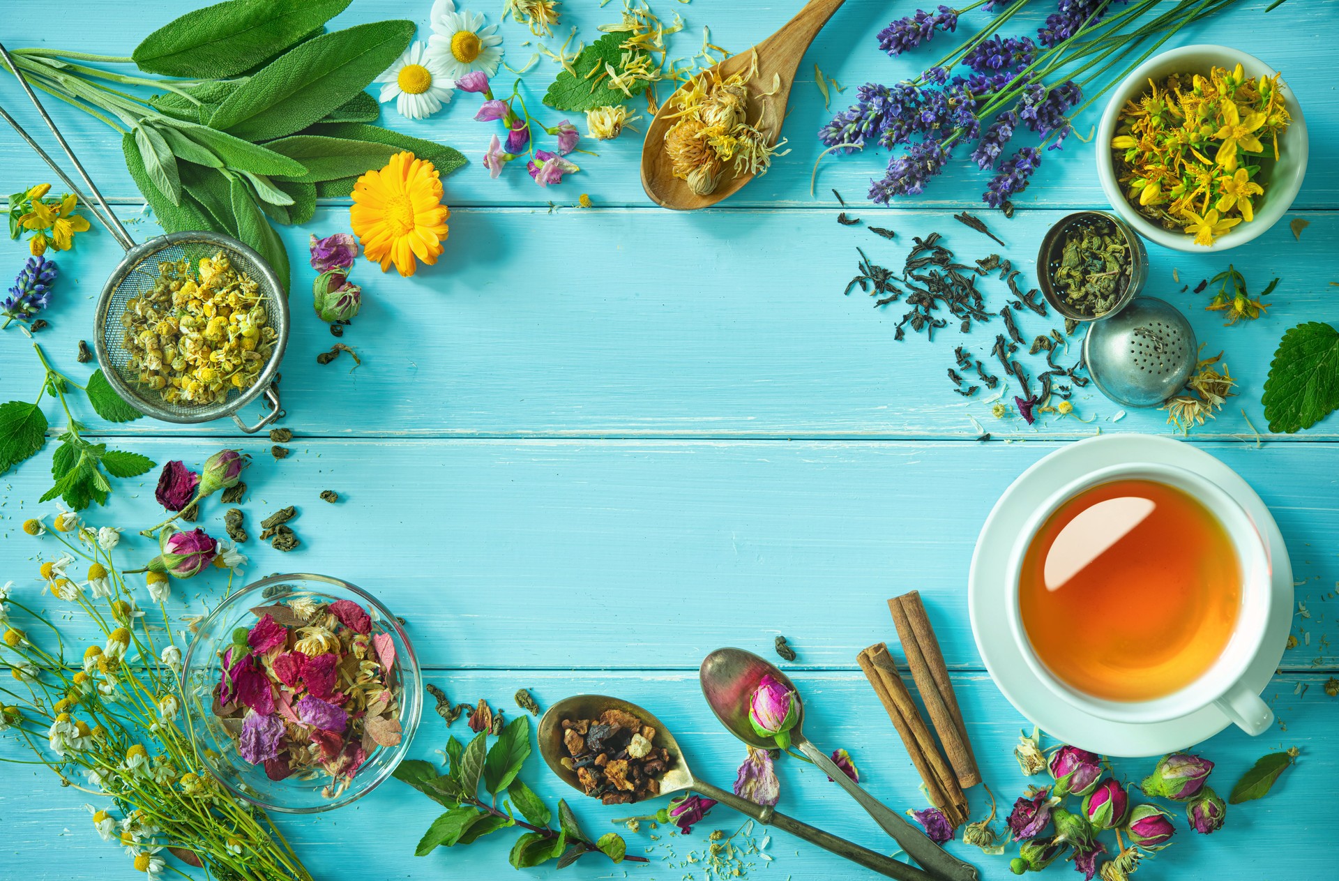 Cup of healthy herbal tea